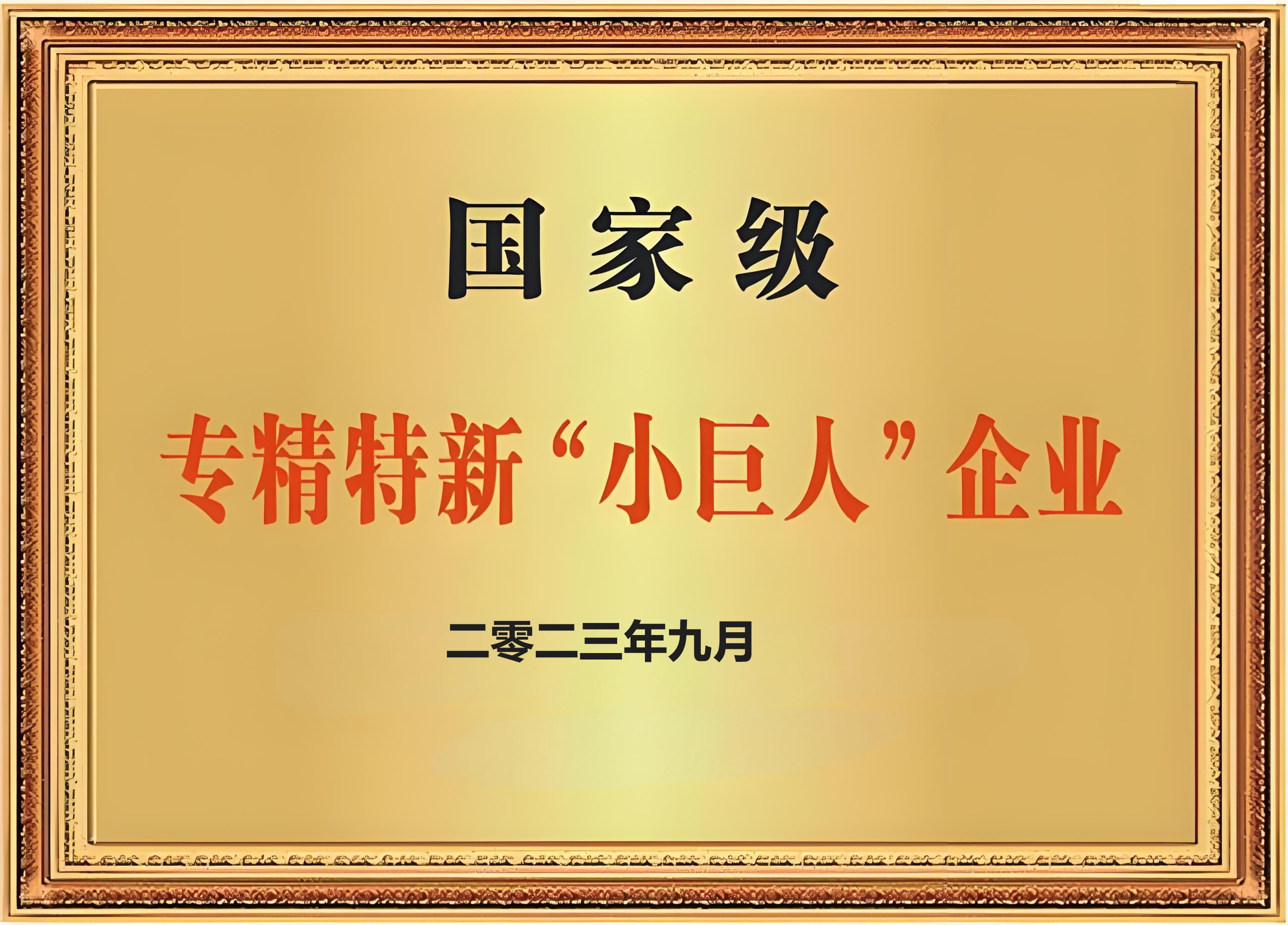 专精特新"小巨人"企业